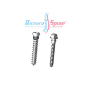 Sistema de placa toracolumbar