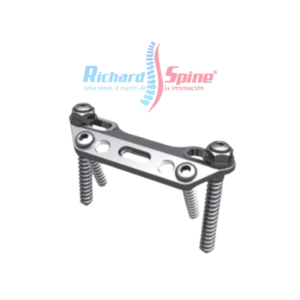 Sistema de placa toracolumbar