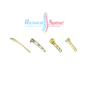 Placa Proximal del Radio y el Cúbito